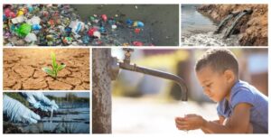 8 Must-Know Water Management Resources for Sustainable Water Use